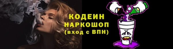 дживик Абаза