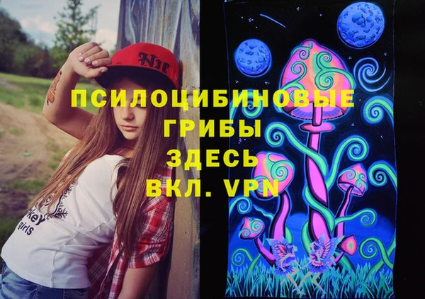 МДПВ Абдулино